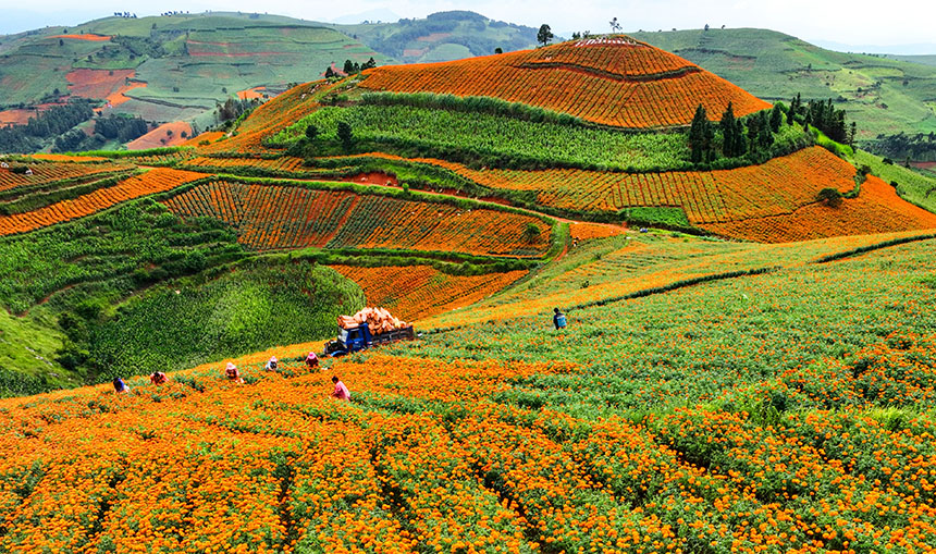 ????? ???? ?? ???? ??????? ?? ??? ?????? ???? ?? ???????