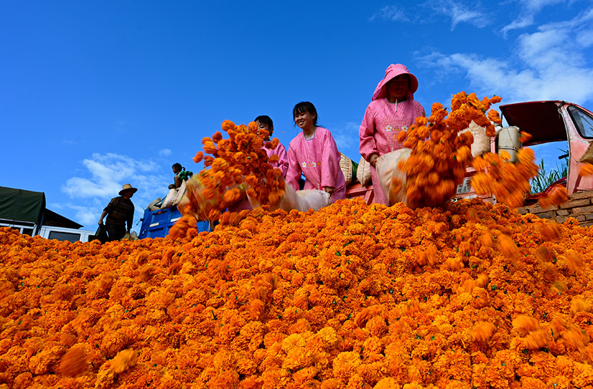 ????? ???? ?? ???? ??????? ?? ??? ?????? ???? ?? ???????