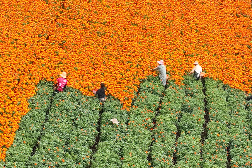 ????? ???? ?? ???? ??????? ?? ??? ?????? ???? ?? ???????