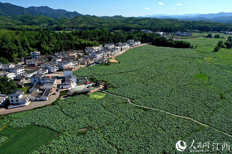 ?????? ???? ????? ??? ????? ?? ????? ??????