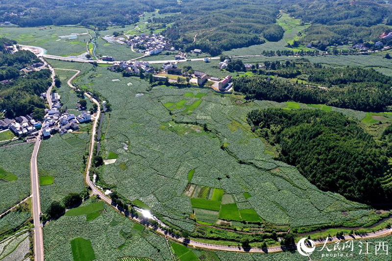 ?????? ???? ????? ??? ????? ?? ????? ??????