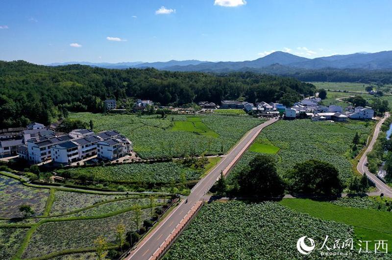 ?????? ???? ????? ??? ????? ?? ????? ??????