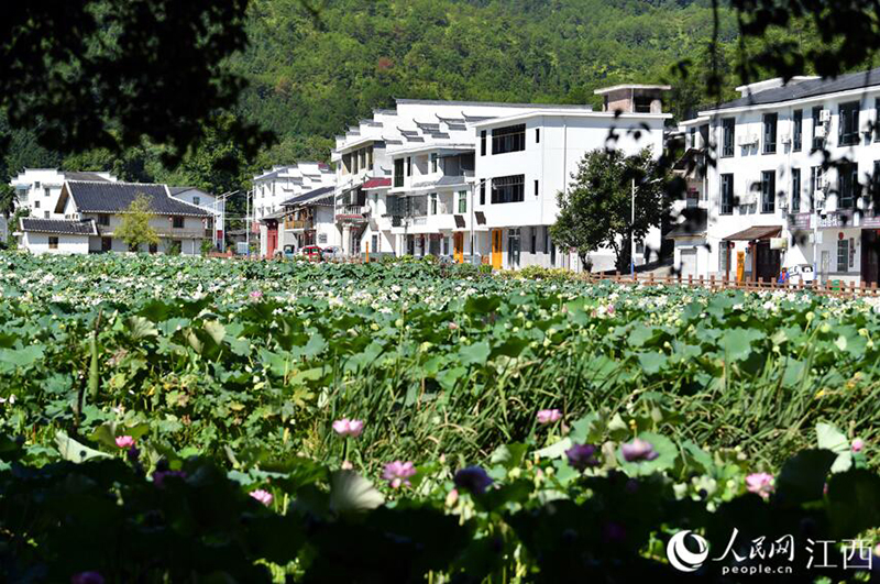 ?????? ???? ????? ??? ????? ?? ????? ??????