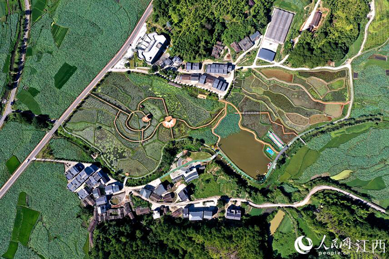 ?????? ???? ????? ??? ????? ?? ????? ??????