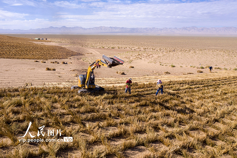 ???? ??????? ?? ?????? ????? ??????? ???? ???????