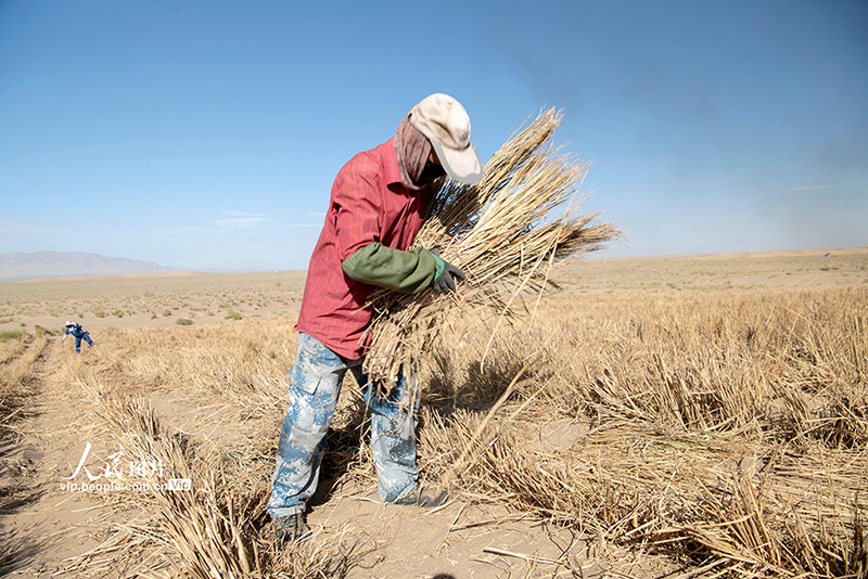 ???? ??????? ?? ?????? ????? ??????? ???? ???????