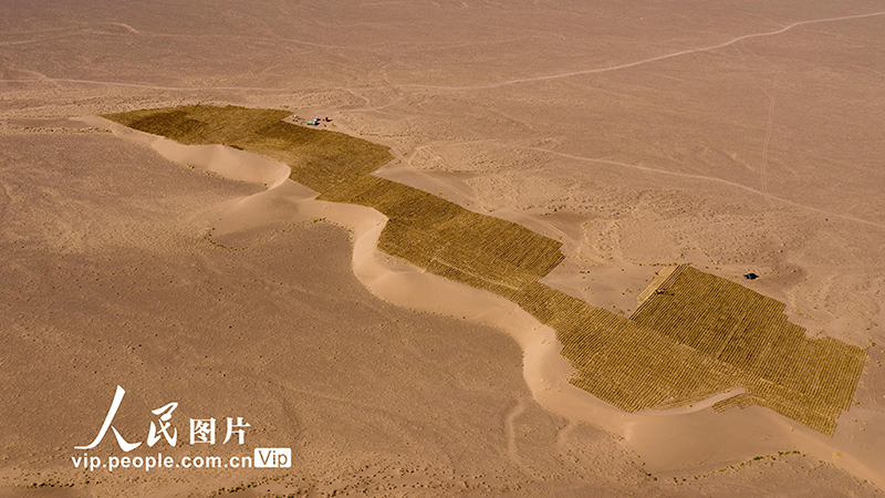 ???? ??????? ?? ?????? ????? ??????? ???? ???????