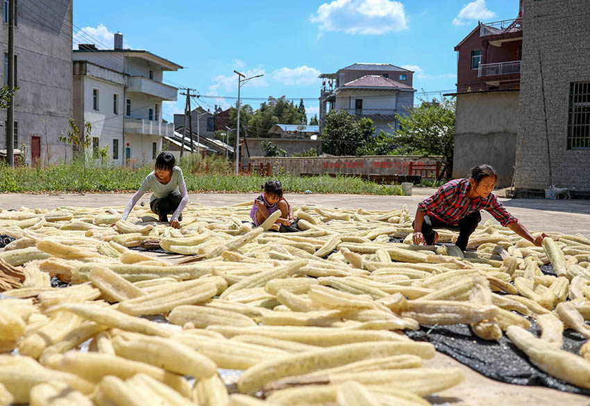 ??????? ???? ????? ???? ??? ????? ?????? ??? ?????? ???? ?? ???????