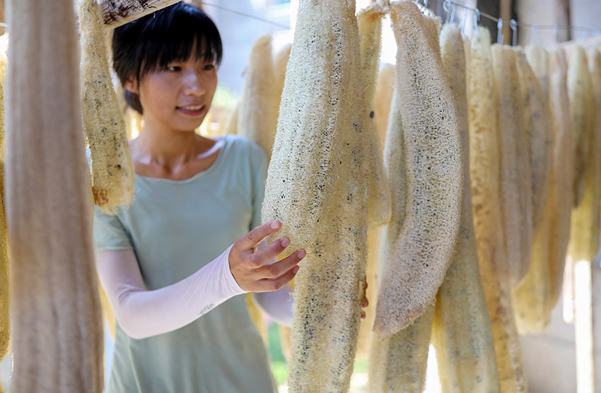 ??????? ???? ????? ???? ??? ????? ?????? ??? ?????? ???? ?? ???????