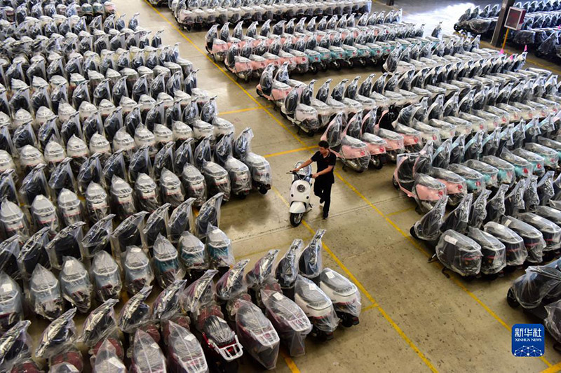 ?????? ????: ????? ????? ???????? ??????????