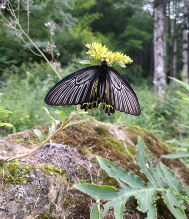 ???? ????? ?? ?????? ???? ???? ??? ?? ???????? ? ????