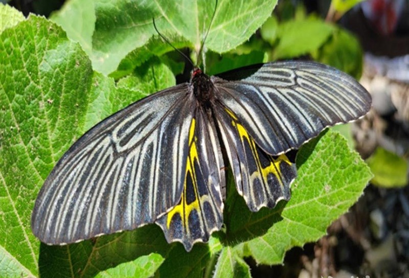 ???? ????? ?? ?????? ???? ???? ??? ?? ???????? ? ????