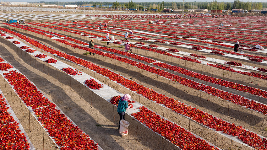 ???? ???? ?? ?????? ???????? ????????