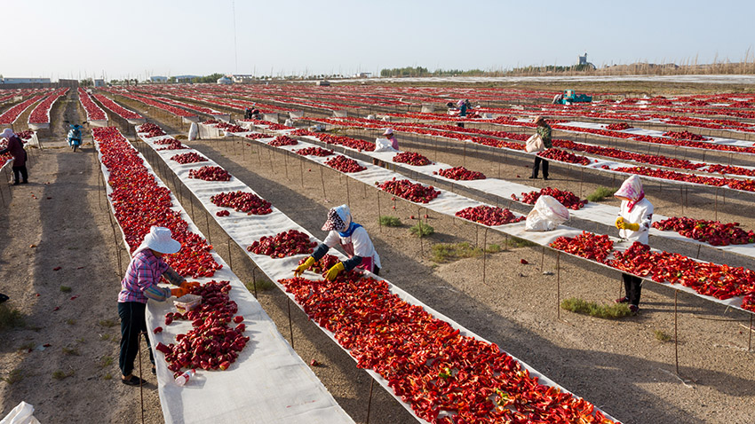 ???? ???? ?? ?????? ???????? ????????