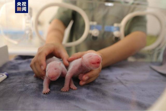 ????? ?????? ?? ???? ??? ?????