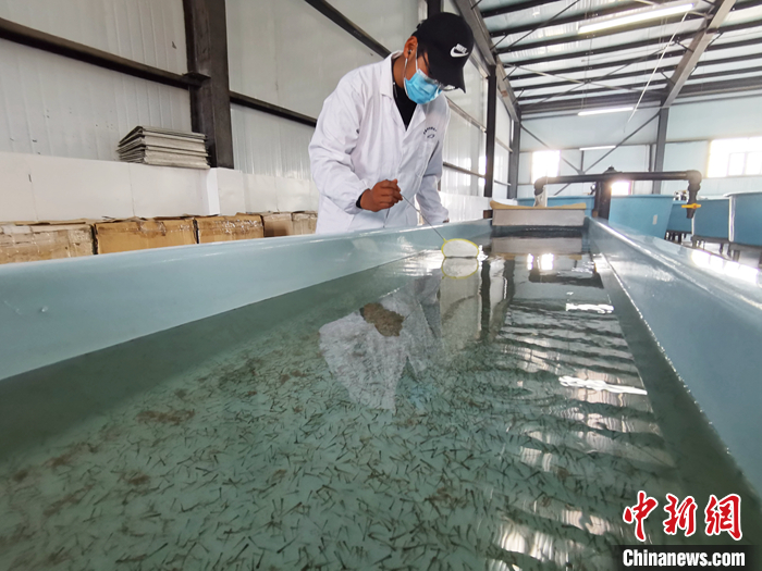 ??????: ???? ?? ????? ??? 