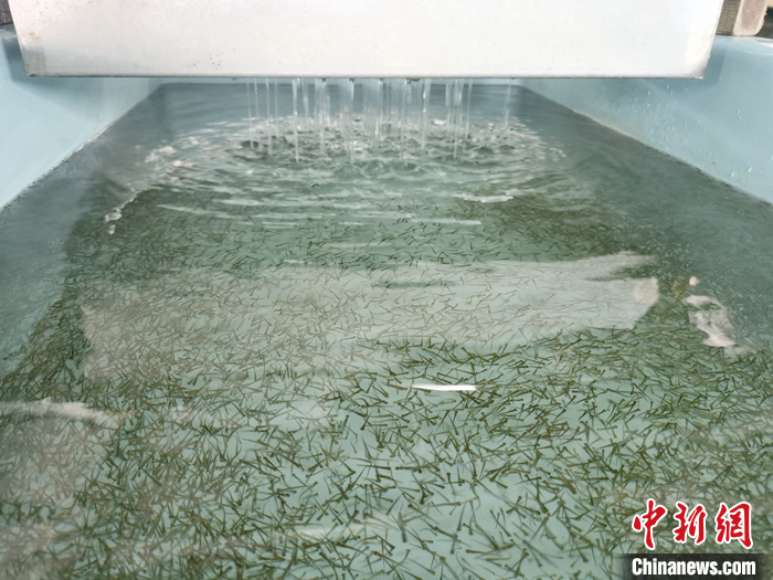 ??????: ???? ?? ????? ??? 