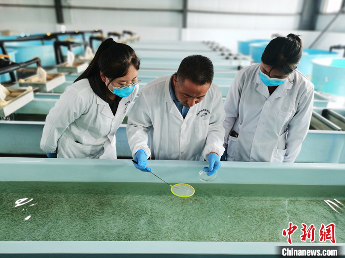 ??????: ???? ?? ????? ??? 