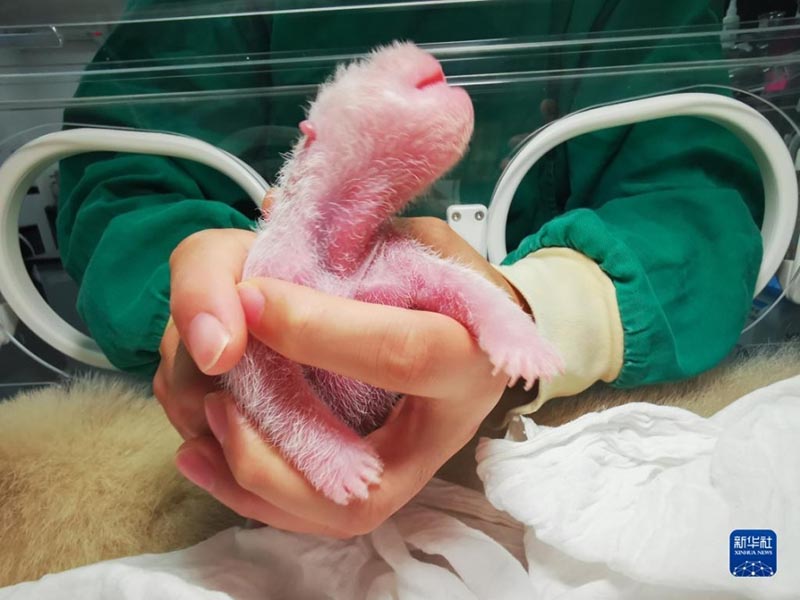 ??????? ???????? ???? ???? ???????? ?? ????? ?????? ????????