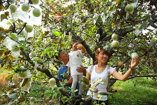 ???? ????? ?? ??????? ???? ??????? ???????