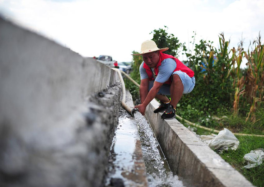 ??????? ?????? ?????? ?????? ????? ??????? ???????? ?? ????? ?????