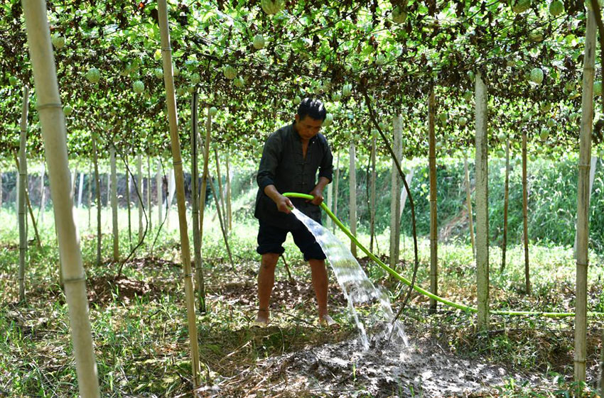 ??????? ?????? ?????? ?????? ????? ??????? ???????? ?? ????? ?????