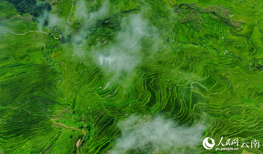 ??????? ????? ???? ????? ????? ??? ???? ?????? ?? ?????? ??????