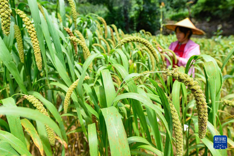 ????? ??? ??? ????? ?????? ?????? ???? ?????? ??? ????? ????