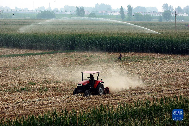 ????? ??? ??? ????? ?????? ?????? ???? ?????? ??? ????? ????