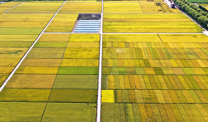 ???? ????? ?? ??????????? ???? ???? ??????