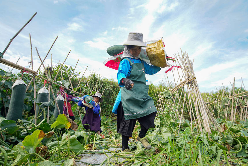 ???????? ??????: ???? ????????? ????? ???? ????? ??????