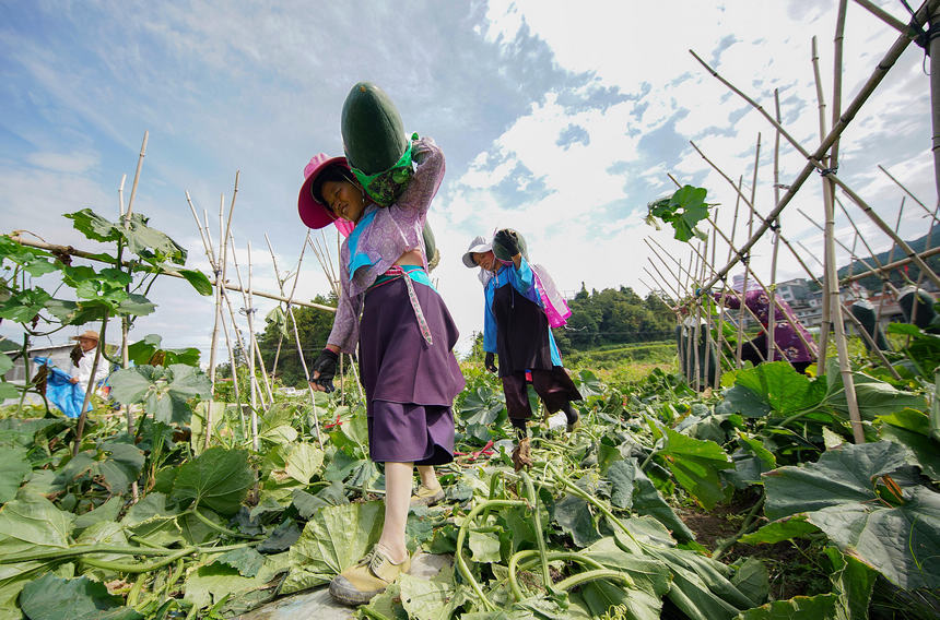 ???????? ??????: ???? ????????? ????? ???? ????? ??????