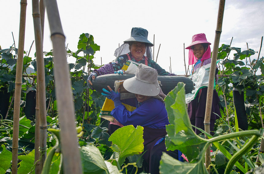 ???????? ??????: ???? ????????? ????? ???? ????? ??????