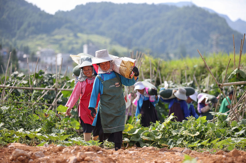 ???????? ??????: ???? ????????? ????? ???? ????? ??????