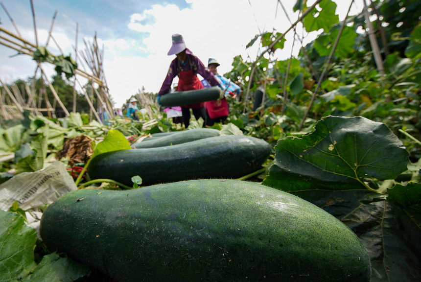 ???????? ??????: ???? ????????? ????? ???? ????? ??????