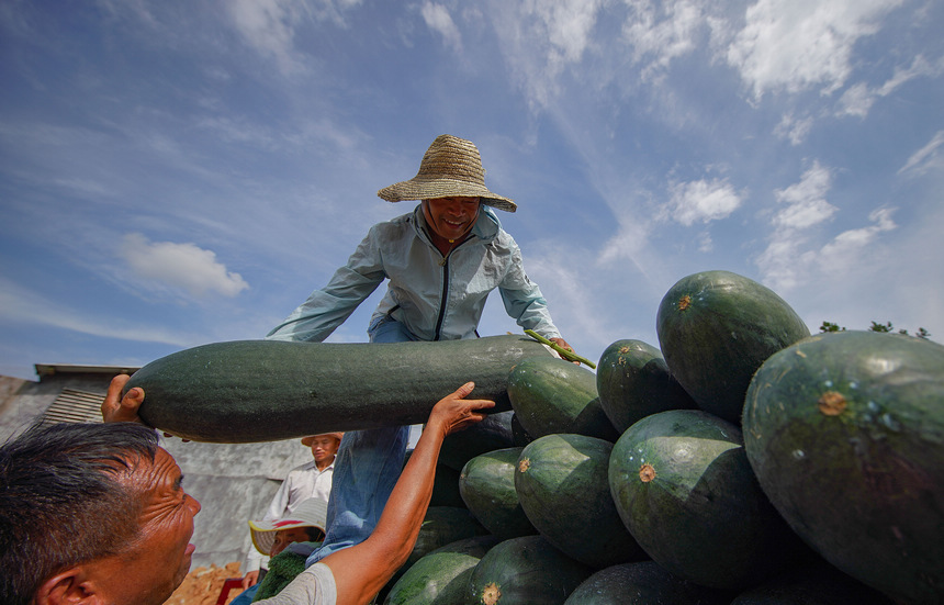 ???????? ??????: ???? ????????? ????? ???? ????? ??????