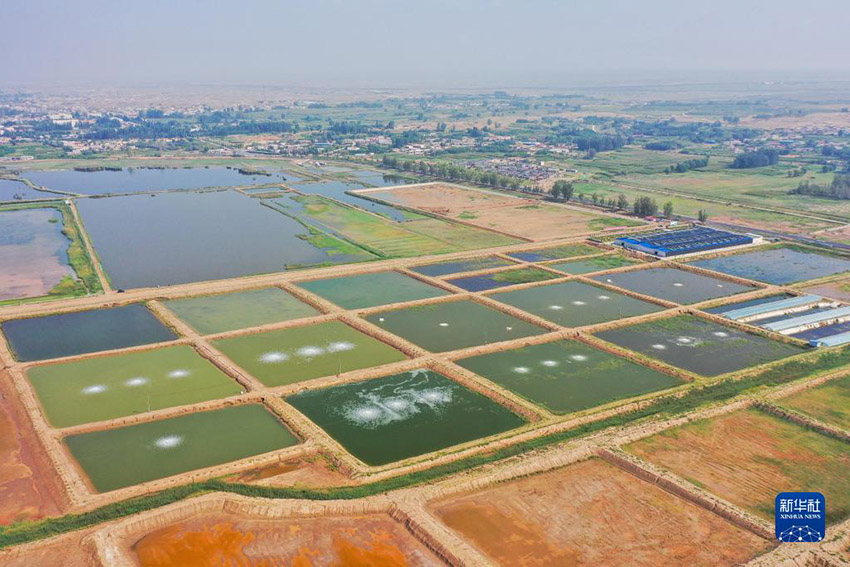 ???? ??????? ?? ?????? ??????? ???????? ????????