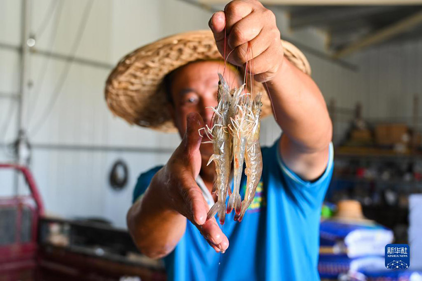 ???? ??????? ?? ?????? ??????? ???????? ????????