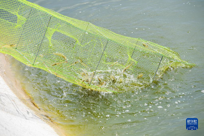 ???? ??????? ?? ?????? ??????? ???????? ????????