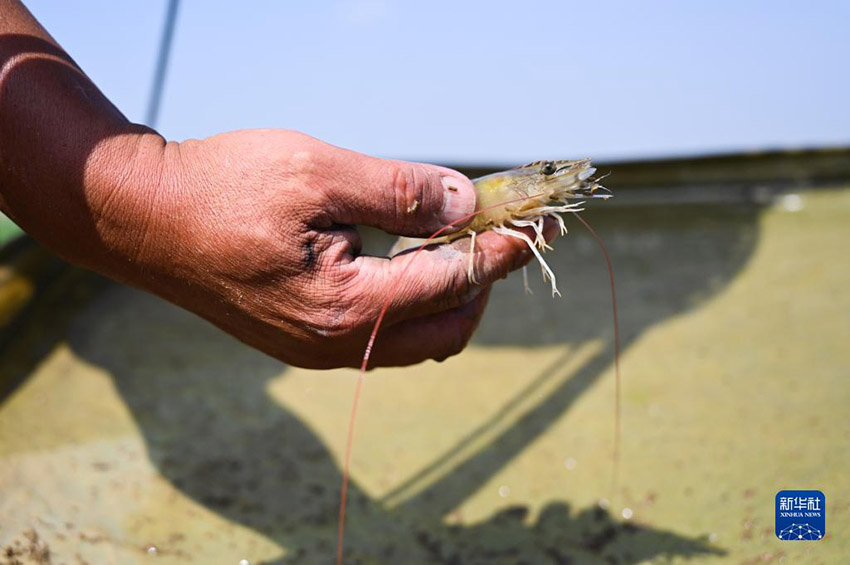 ???? ??????? ?? ?????? ??????? ???????? ????????