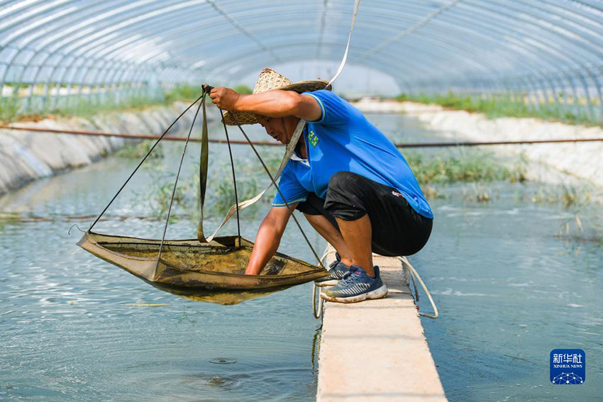 ???? ??????? ?? ?????? ??????? ???????? ????????