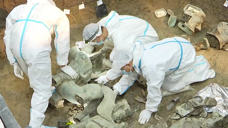 ?????? ???????? ?????? ???? ?????? ??? 150 ??? ?? ?????? ???????