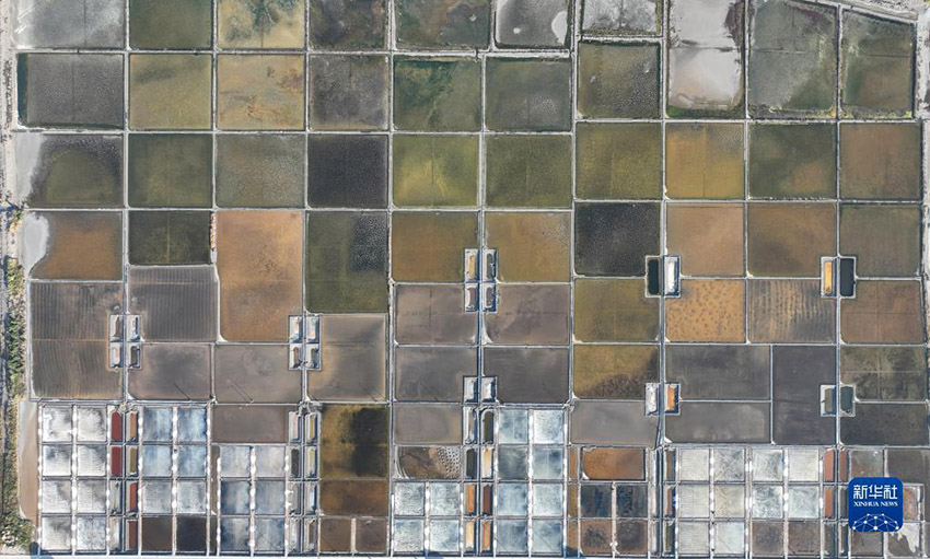 ??? ?????? ????? ??????? ???? ???? ???????