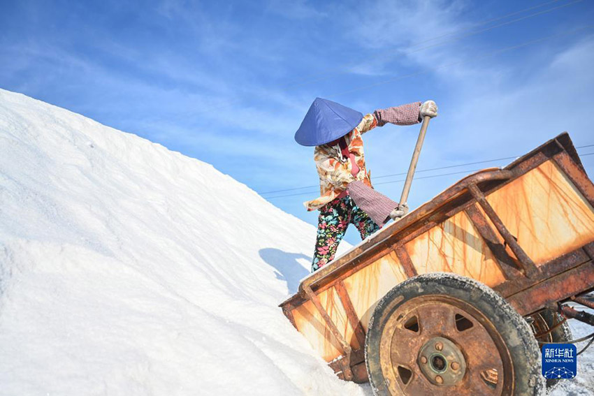 ??? ?????? ????? ??????? ???? ???? ???????