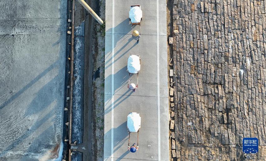 ??? ?????? ????? ??????? ???? ???? ???????