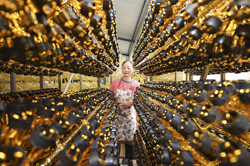 ??? ???? ?? 80 ????? ??????????? ???? ????? ?????? ????? ???????? ?? ?????