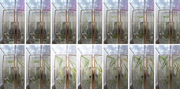 ???? ??? ???? ?????? ????? 