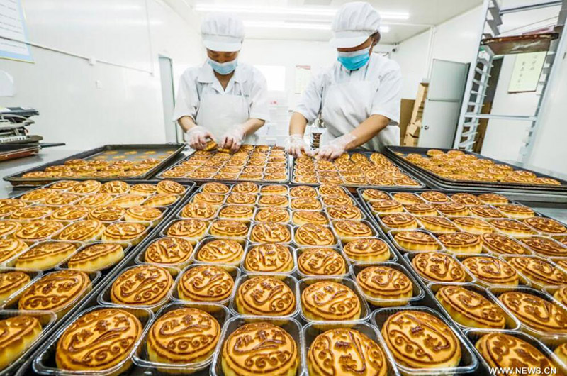 ????? ??? ????? ?????? ??? ????? ???? ??? ????? ??????