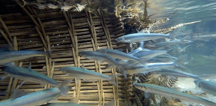 ??? ????? ????? ????? ?? ????? ?????? 