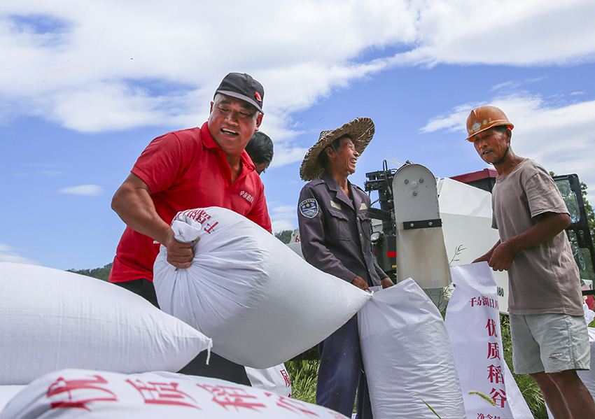 ??????? ???????: ????? ??????? ???? ????? ????